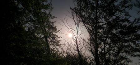 Mirnski planinci na prvem pohodu - lunohod v Nebesa, sept 2023, foto PKL (7)